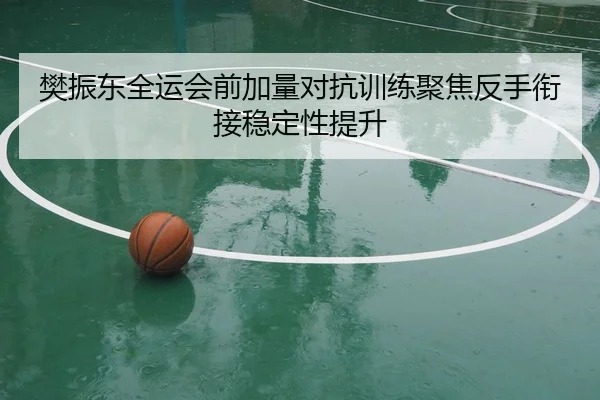 樊振东全运会前加量对抗训练聚焦反手衔接稳定性提升